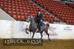 15BUCK_04356 proof