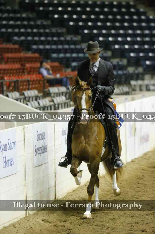 Proof 15BUCK_04357