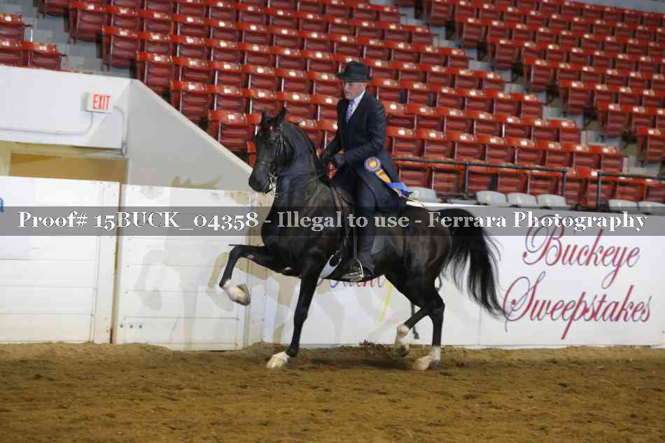 Proof 15BUCK_04358