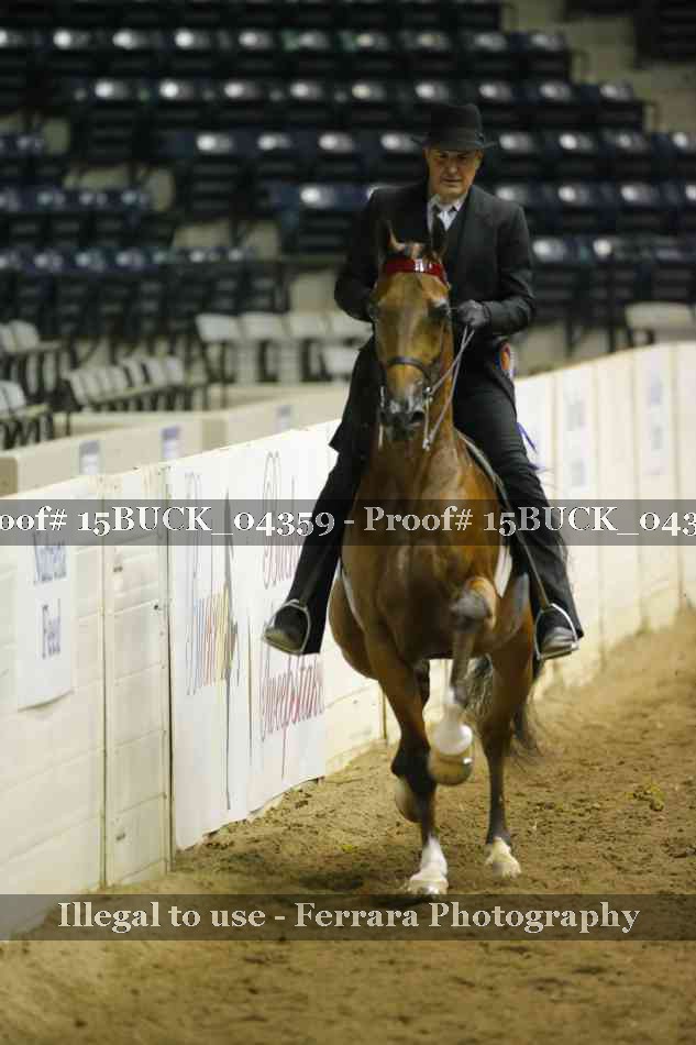 Proof 15BUCK_04359