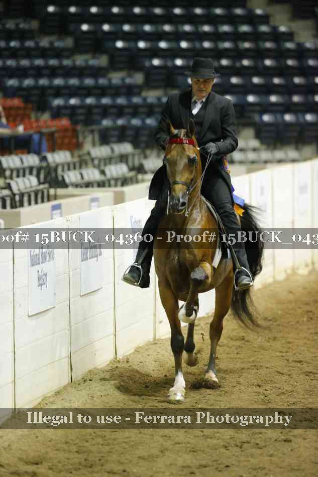 Proof 15BUCK_04360