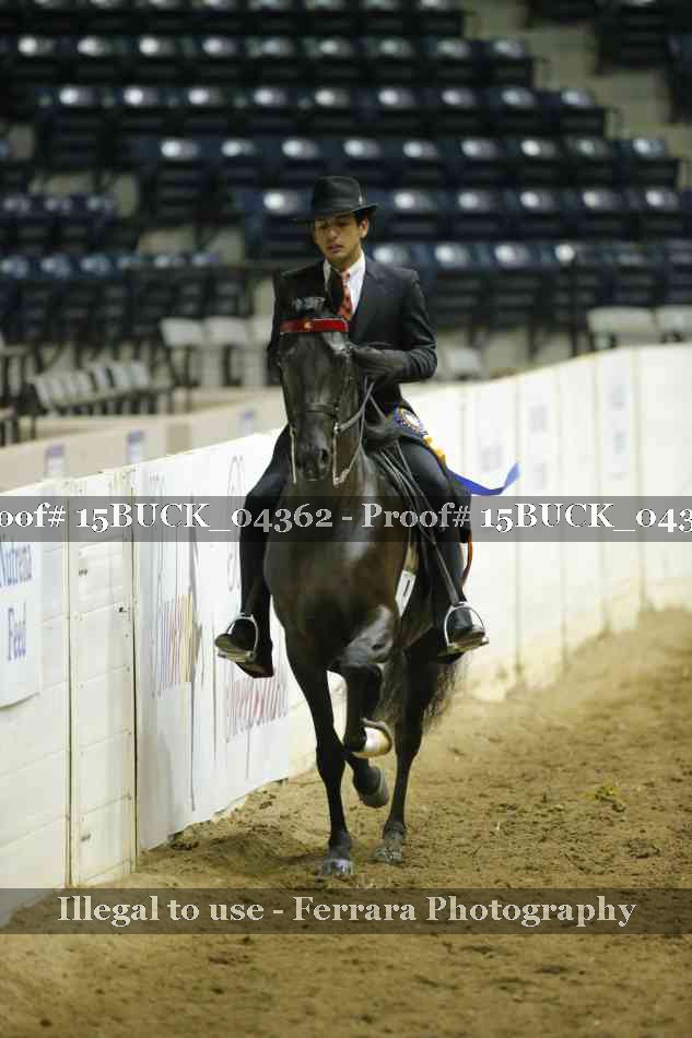 Proof 15BUCK_04362
