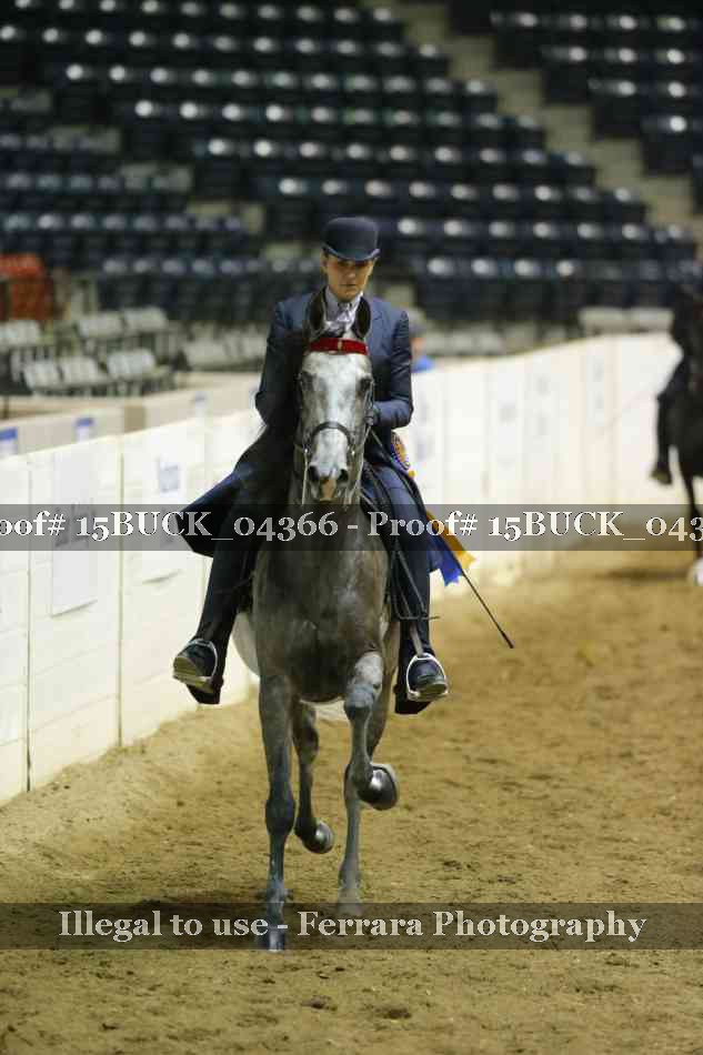 Proof 15BUCK_04366