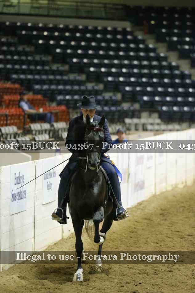 Proof 15BUCK_04367