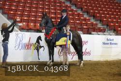 15BUCK_04368 proof