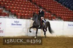 15BUCK_04369 proof