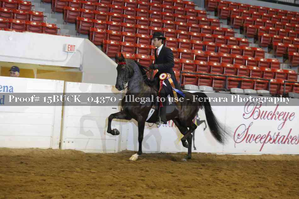 Proof 15BUCK_04370
