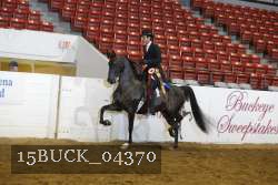 15BUCK_04370 proof