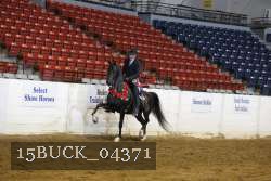 15BUCK_04371 proof