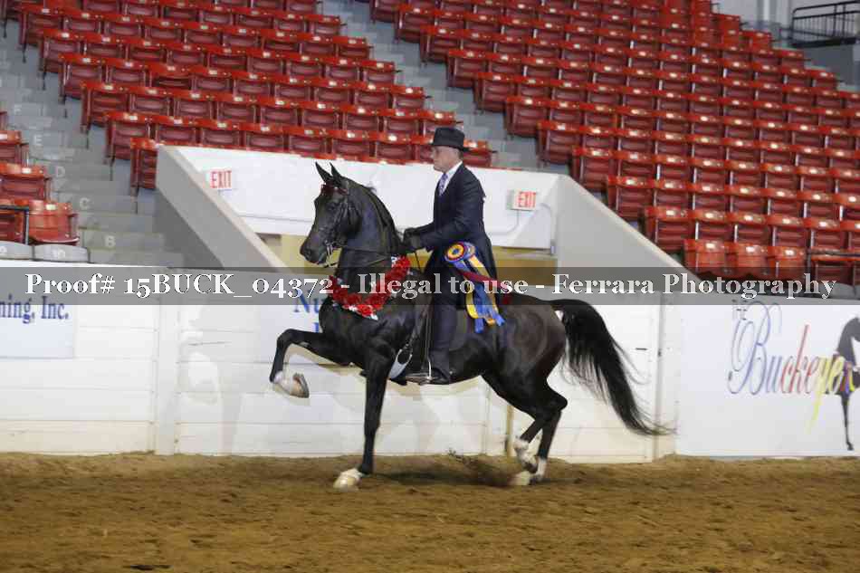 Proof 15BUCK_04372