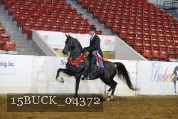 15BUCK_04372 proof