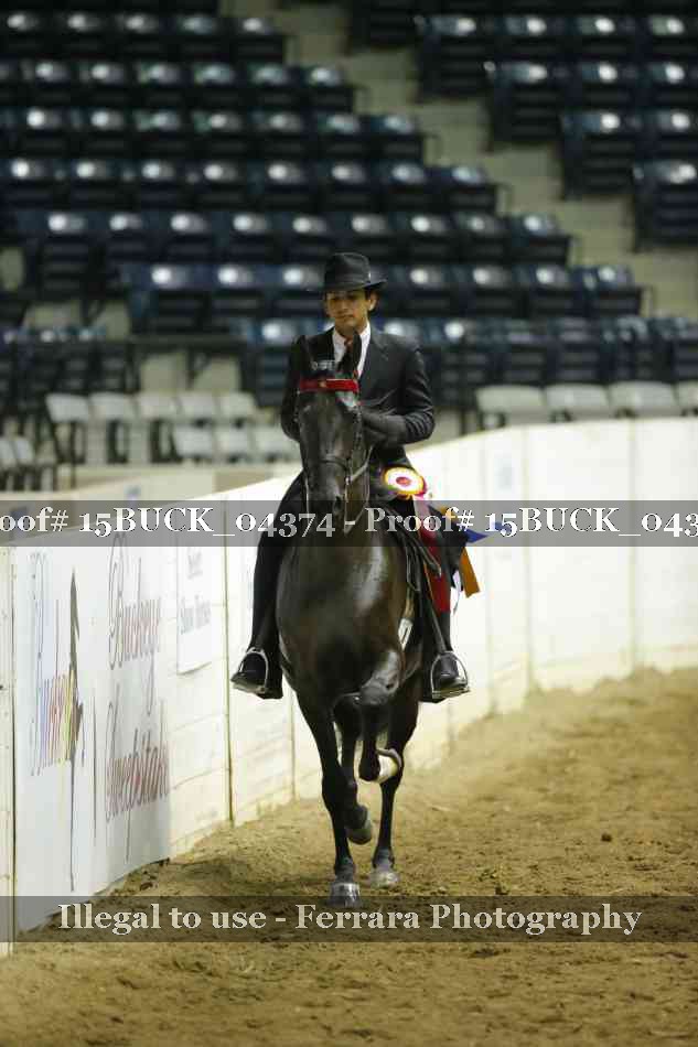 Proof 15BUCK_04374