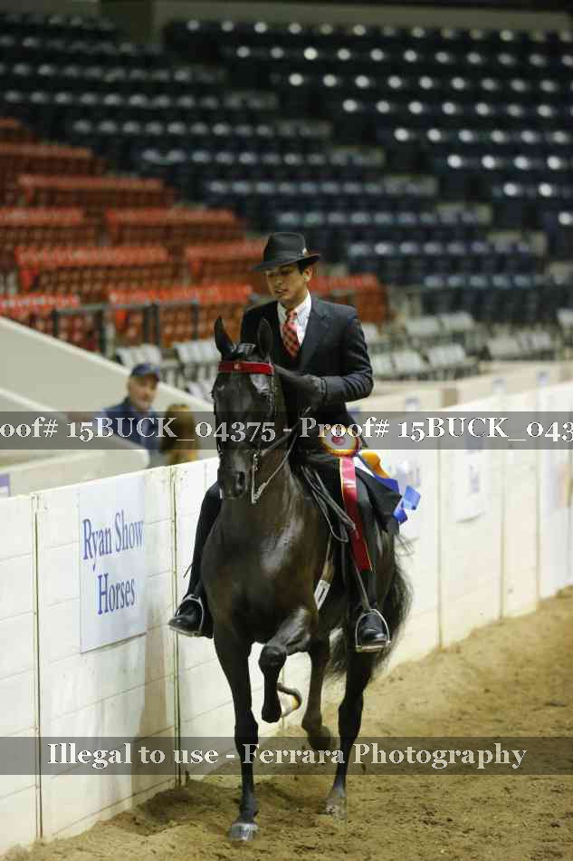 Proof 15BUCK_04375