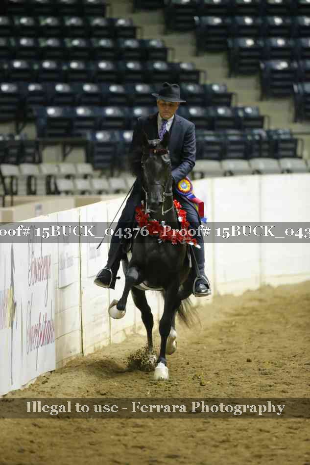 Proof 15BUCK_04376
