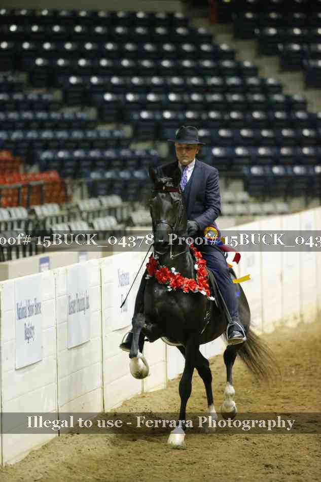 Proof 15BUCK_04378