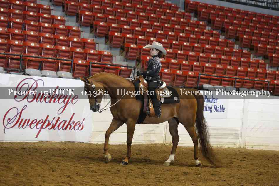 Proof 15BUCK_04382