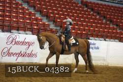 15BUCK_04382 proof