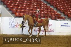 15BUCK_04383 proof