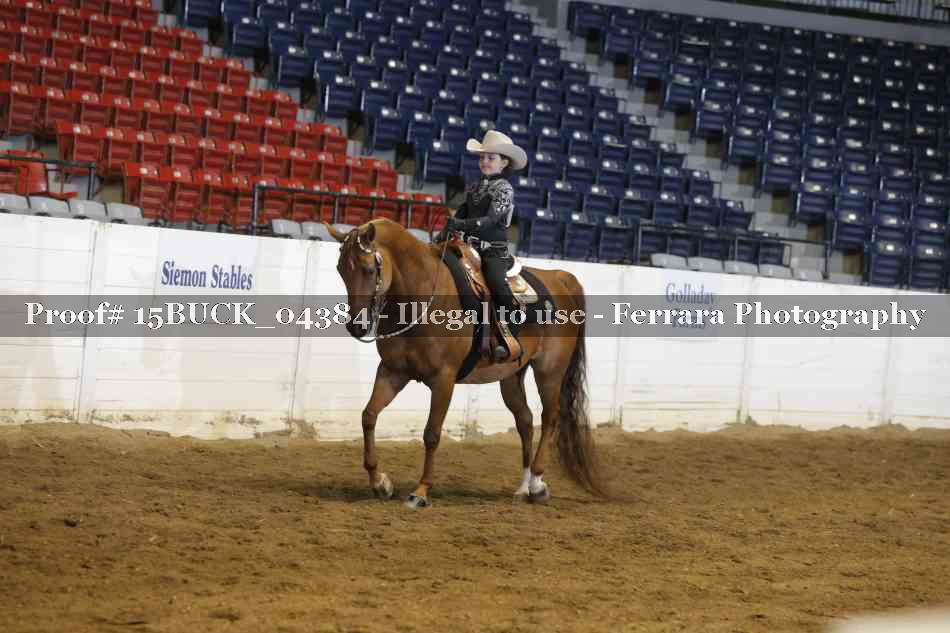 Proof 15BUCK_04384