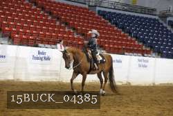 15BUCK_04385 proof