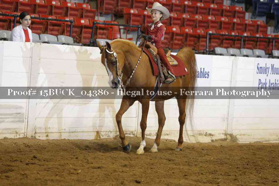 Proof 15BUCK_04386