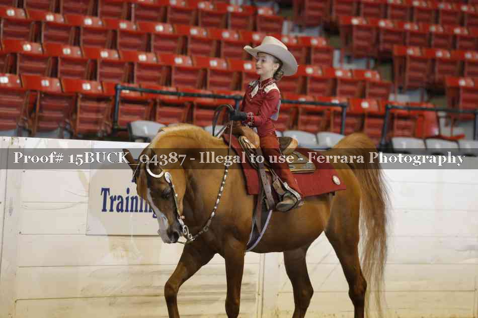 Proof 15BUCK_04387