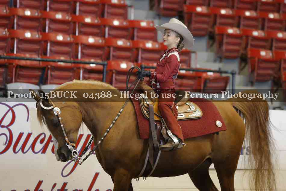 Proof 15BUCK_04388