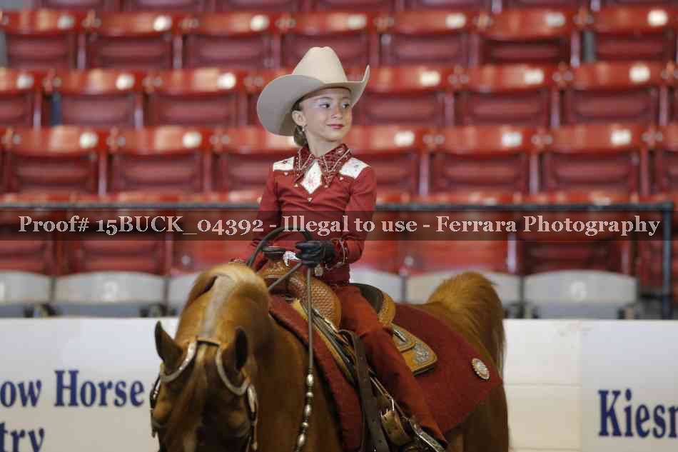 Proof 15BUCK_04392