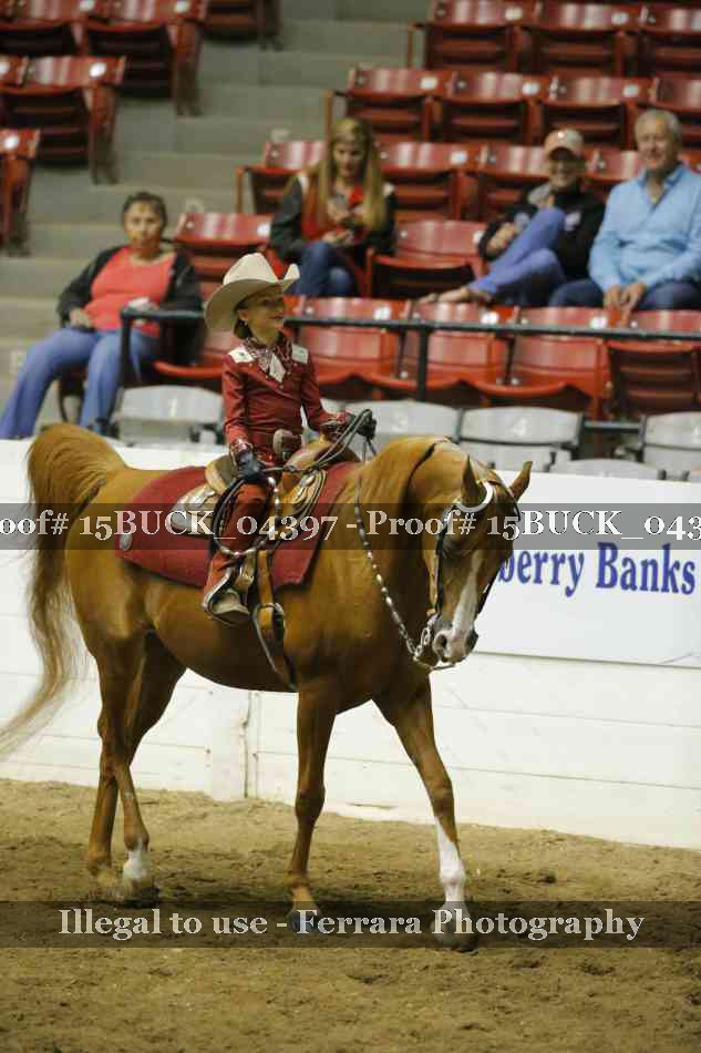Proof 15BUCK_04397