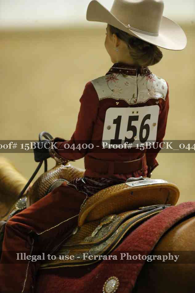 Proof 15BUCK_04400