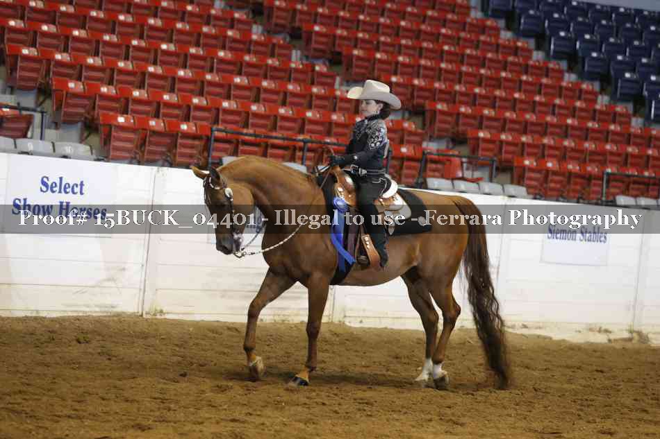Proof 15BUCK_04401