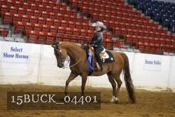 15BUCK_04401 proof