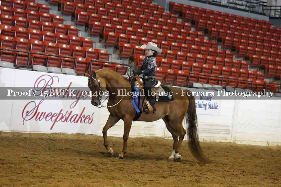 Proof 15BUCK_04402