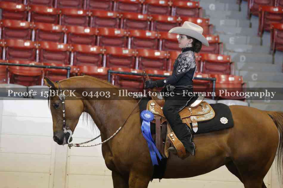 Proof 15BUCK_04403
