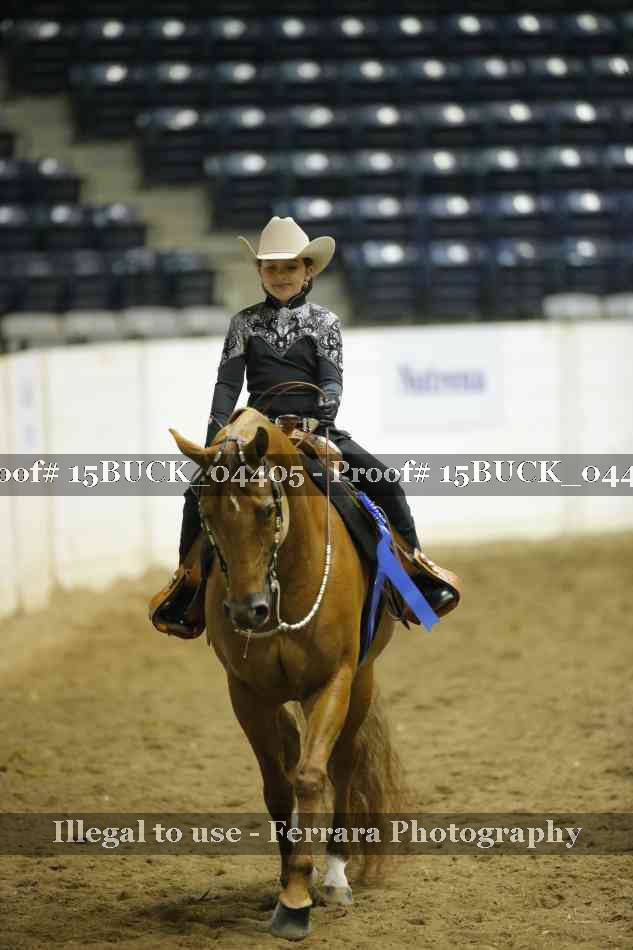 Proof 15BUCK_04405
