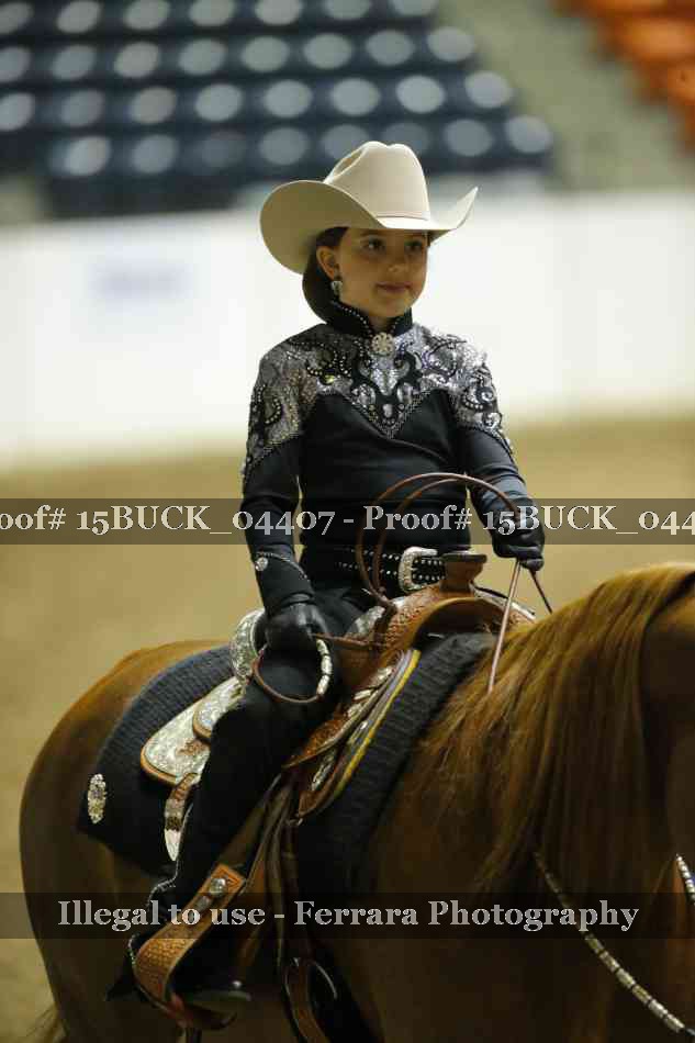 Proof 15BUCK_04407
