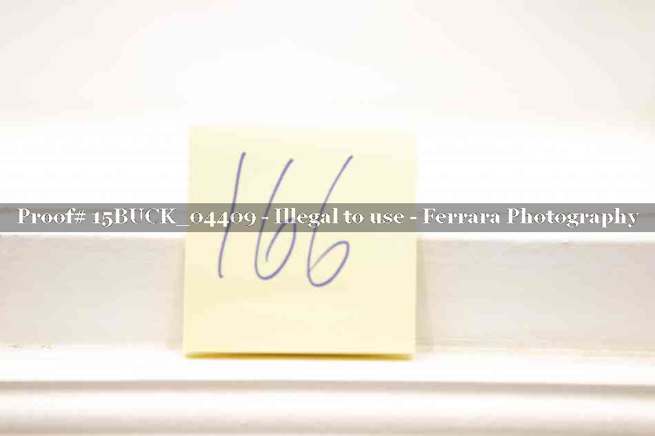 Proof 15BUCK_04409