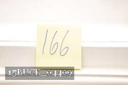 15BUCK_04409 proof