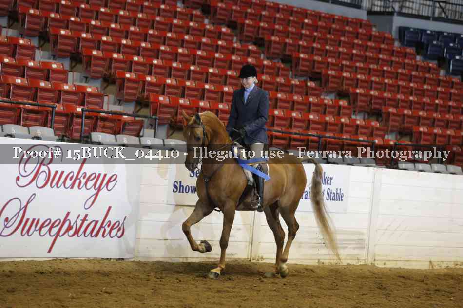 Proof 15BUCK_04410