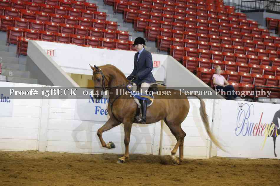 Proof 15BUCK_04411