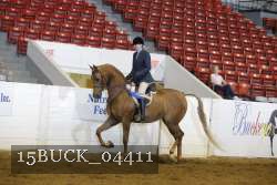 15BUCK_04411 proof