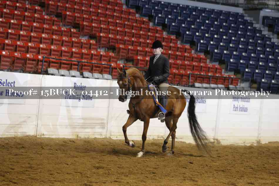 Proof 15BUCK_04412