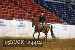 15BUCK_04412 proof