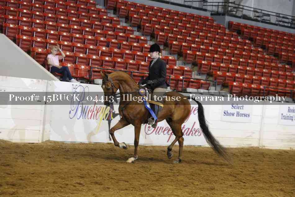 Proof 15BUCK_04413