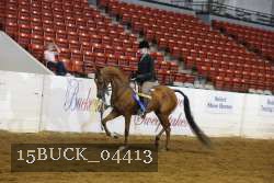15BUCK_04413 proof