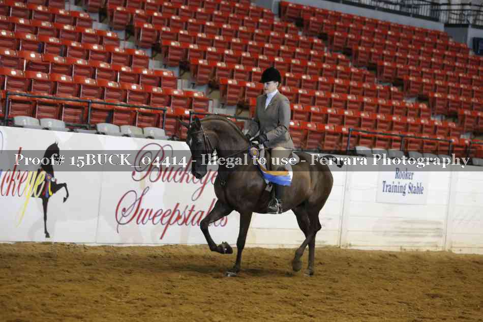Proof 15BUCK_04414