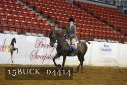 15BUCK_04414 proof