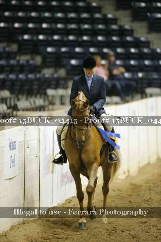 Proof 15BUCK_04415