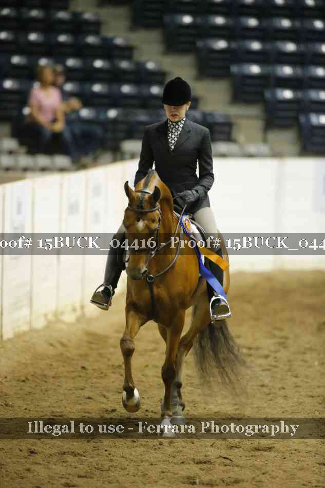 Proof 15BUCK_04416