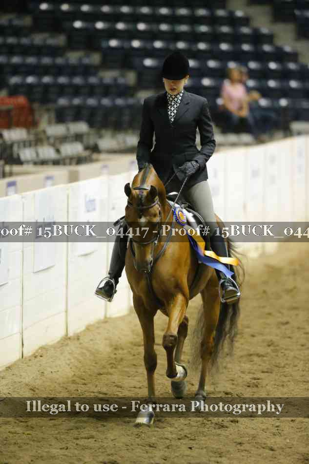 Proof 15BUCK_04417